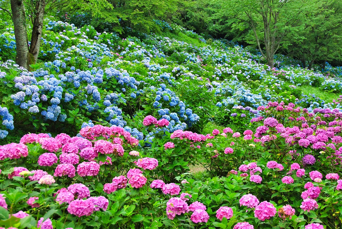 ②-5AdobeStock_759517402.jpeg