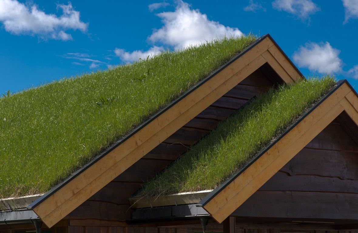 住宅に緑の潤いをあたえる「屋上緑化」