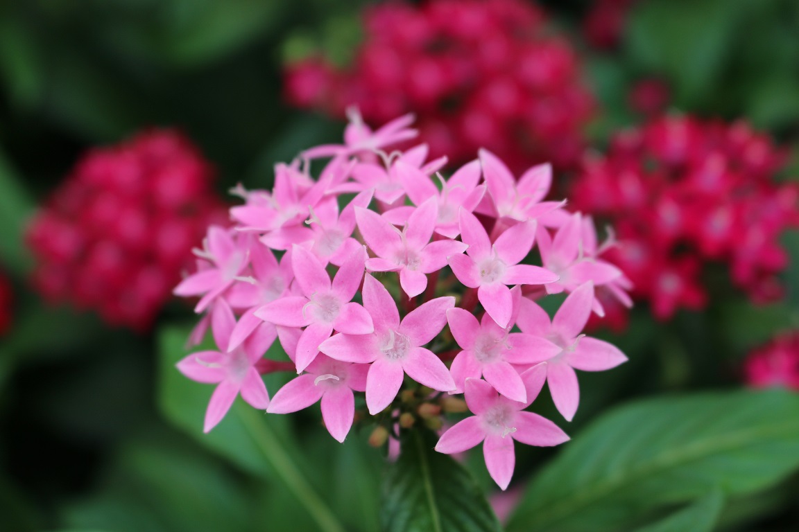 ①-3AdobeStock_382732345.jpeg