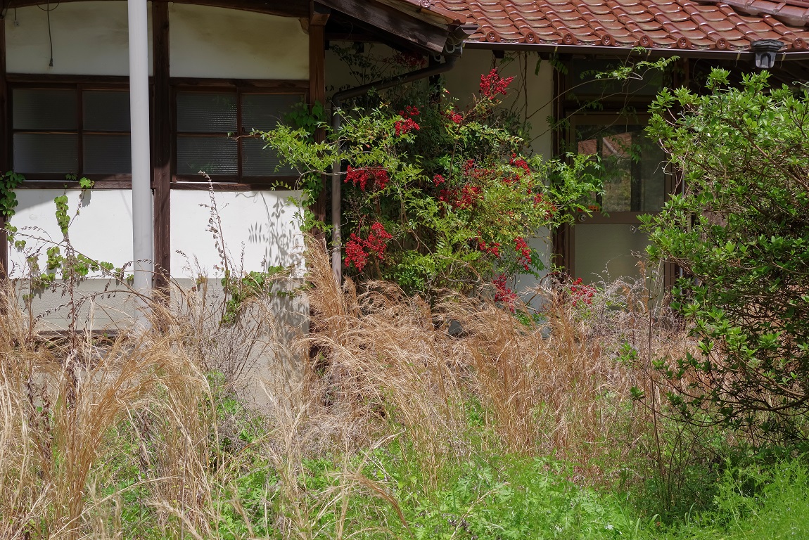 ①-2AdobeStock_1997734252.jpeg