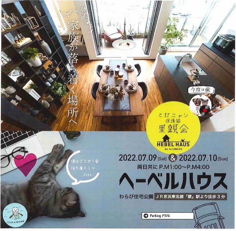 【旭化成ホームズ（HEBEL HAUS）】ねこちゃんの「里親会」開催！