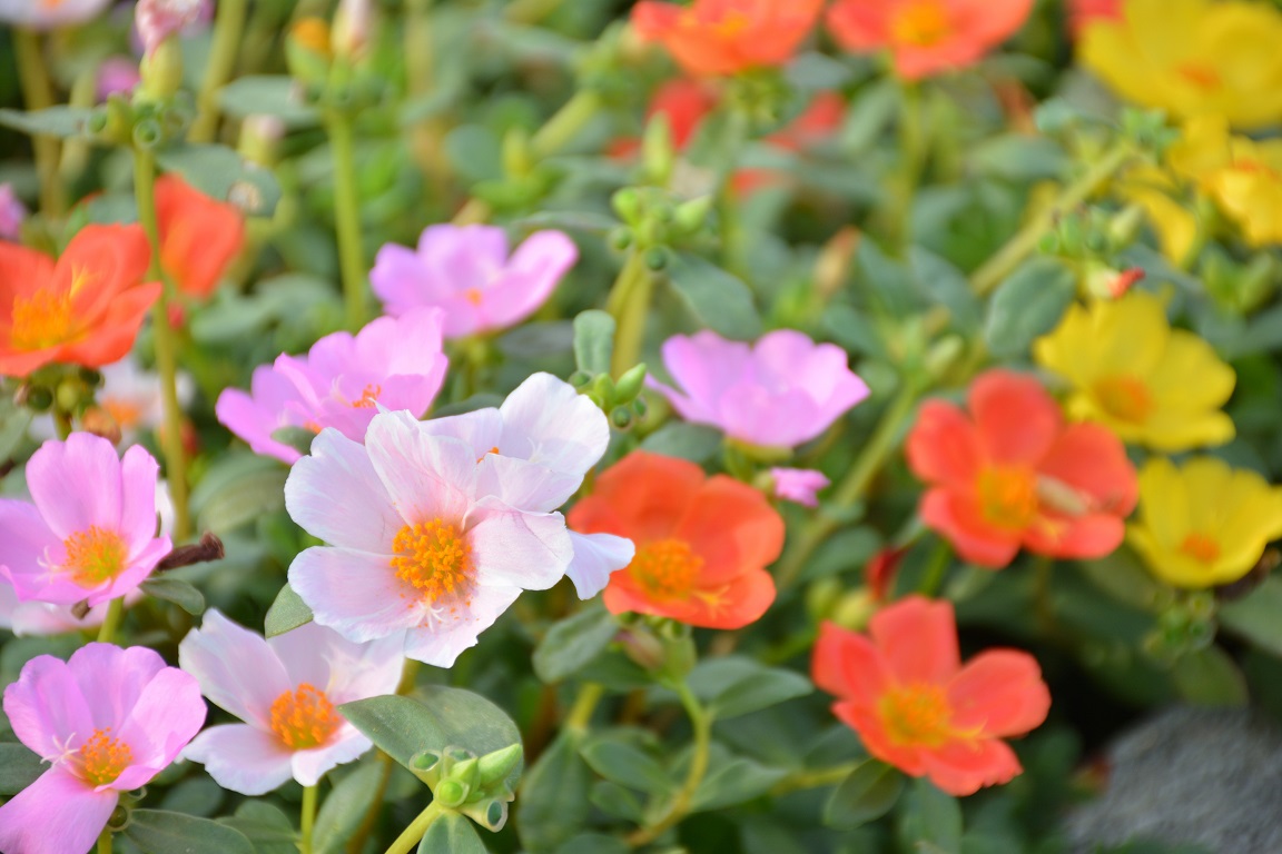 ①-2AdobeStock_275016599.jpeg