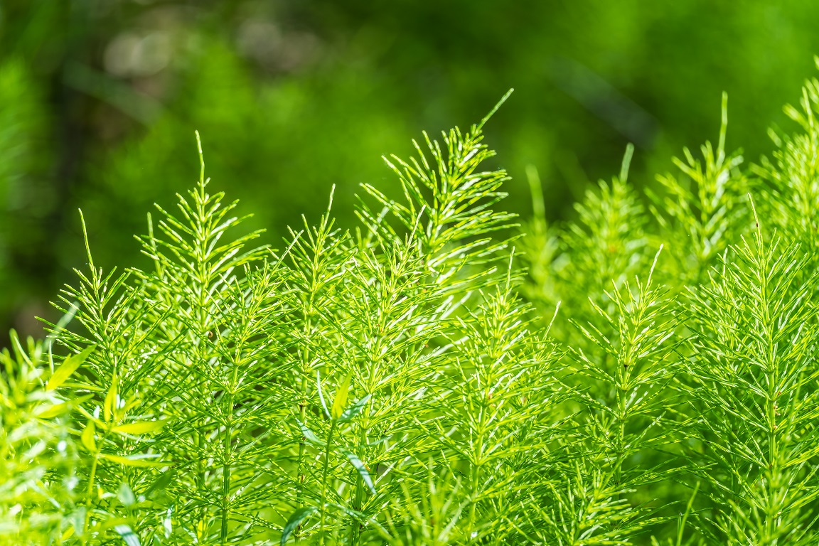 ②-5AdobeStock_1763051275.jpeg
