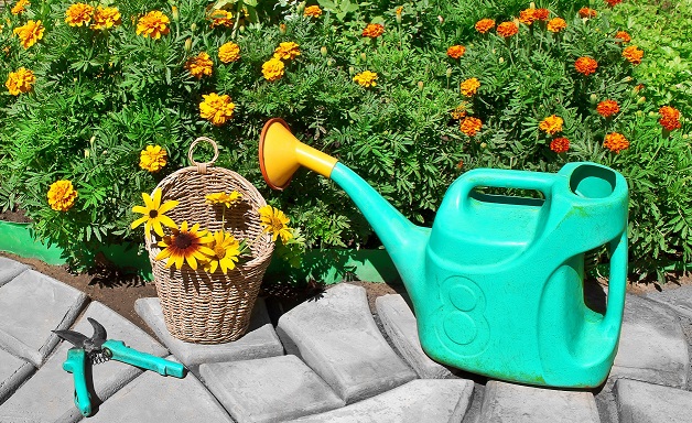 ①-4AdobeStock_90456245.jpeg