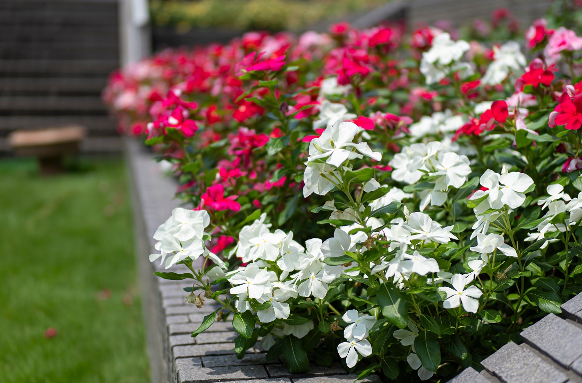 ①-5AdobeStock_1632910723.jpeg