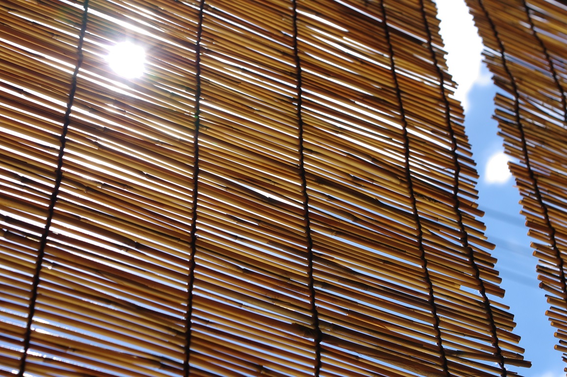 ①-3AdobeStock_121475176.jpeg