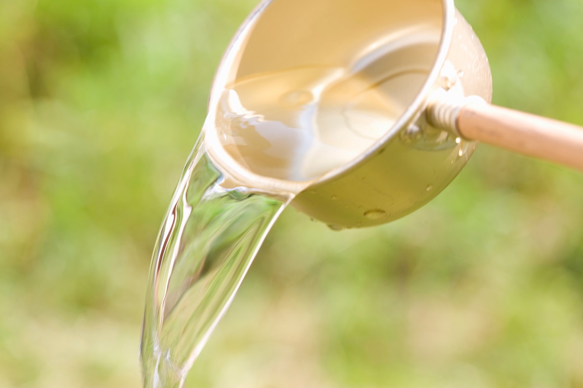 ①-5AdobeStock_381417539.jpeg